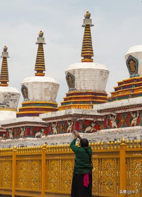省了80元！西宁塔尔寺免费开放，看完再出发