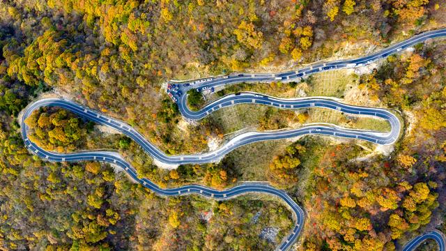 山道弯弯秋色浓