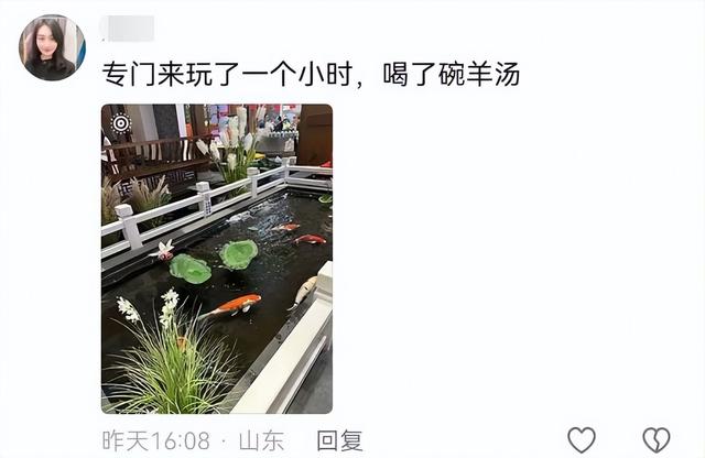 山东某高速服务区突然爆火！比景区的人还多！网友：原本只想来上个厕所，结果花出去500多，一进门我都懵了