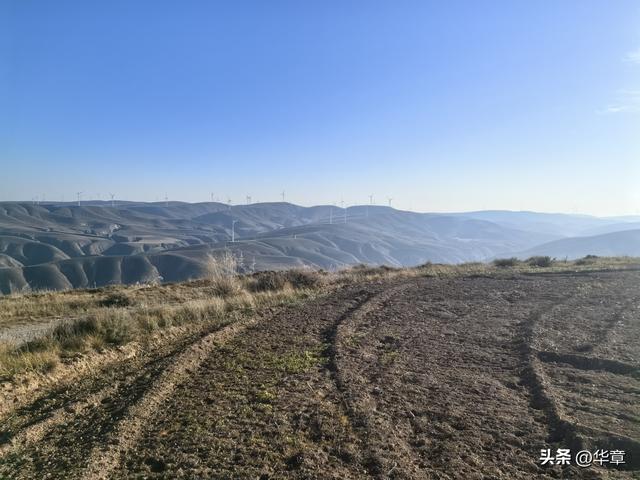 旱塬涅槃：张家塬乡，一座国家级农业主题公园的梦想