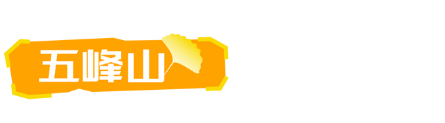 生为山东「银」，何其有「杏」！