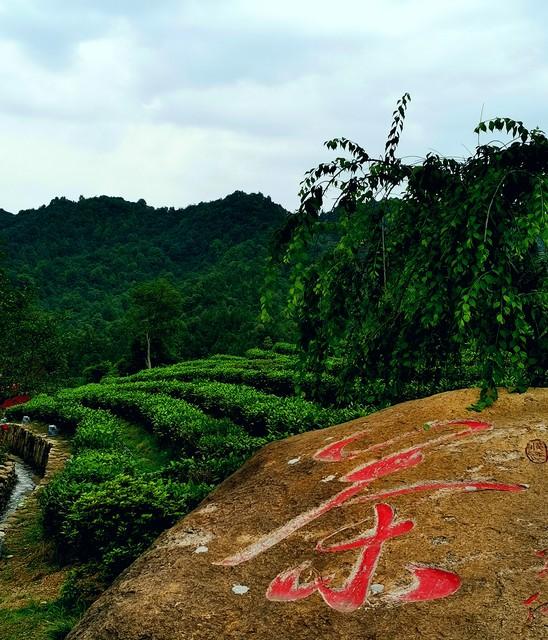 比起婺源和景德镇，我更爱这个千年古镇，人少景美不收门票