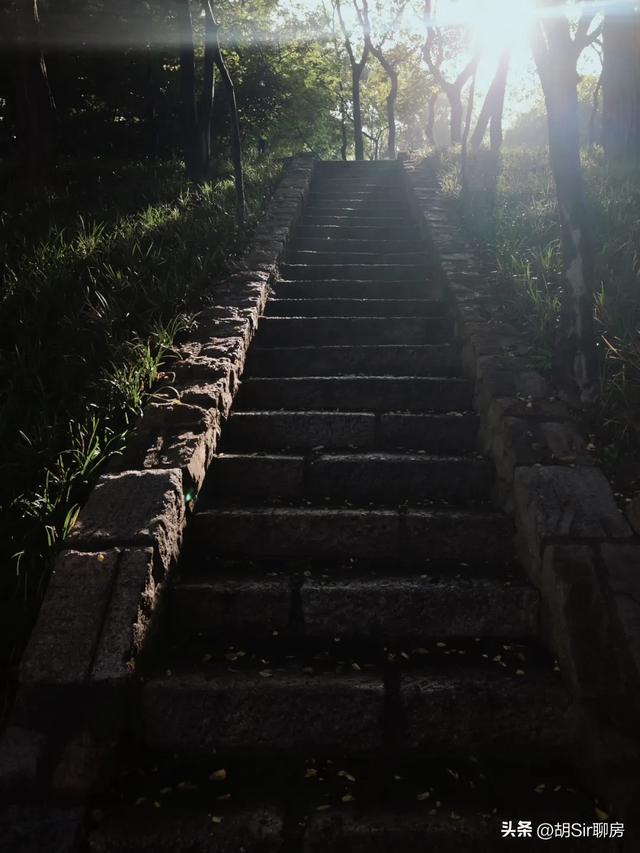 来青岛数十年，竟错过这里！