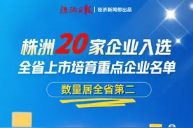 株洲再添20家全省上市培育重点企业图片