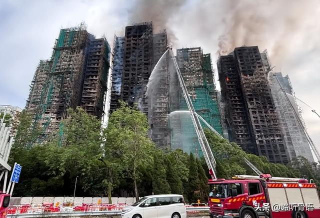 陈芋汐也没想到，全红婵会因香港火灾后的这一举动，迎来口碑暴涨