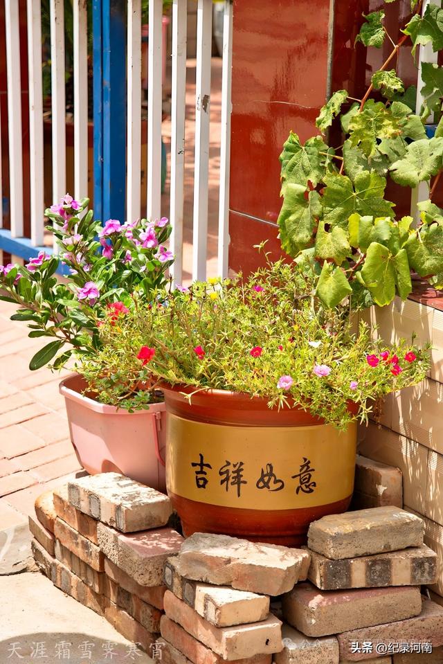 商丘电厂家属院