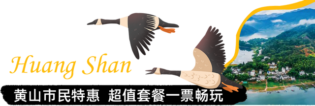 “大雁伴飞”“冰雪世界”！排队预警！开业即“顶流”，正式入驻黄山！