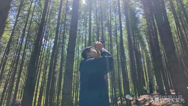 恒山讲韵|杨世骏:东方小瑞士东葫芦头村,花海美成阿勒泰既视感
