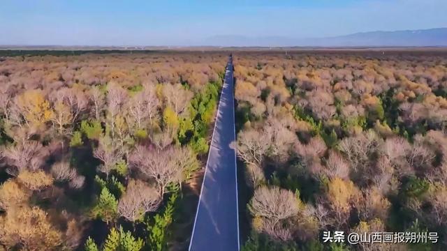 朔城区：去乡间赏秋