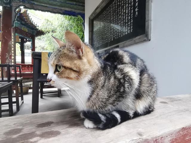 山东又一宝藏！这座藏在鲁西南的县级博物馆，凭佛造像圈粉无数