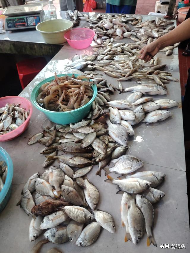游记：名不经传的龙门镇