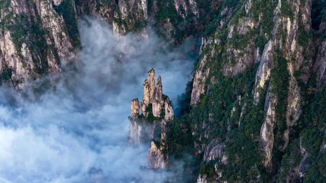 黄山秋景现场播报：云海“开挂”，秋色“沸腾”，抓紧冲