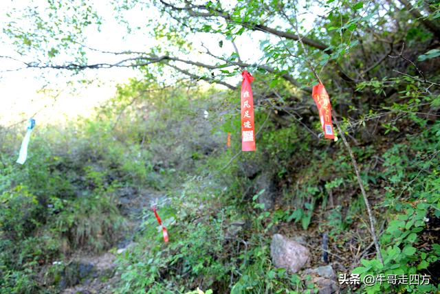 延庆应梦寺（五）：山巅极目收千嶂，林海听风涤尘心