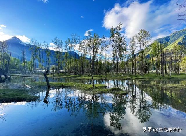 西藏林芝深度游：邂逅雪山桃花与森林的浪漫
