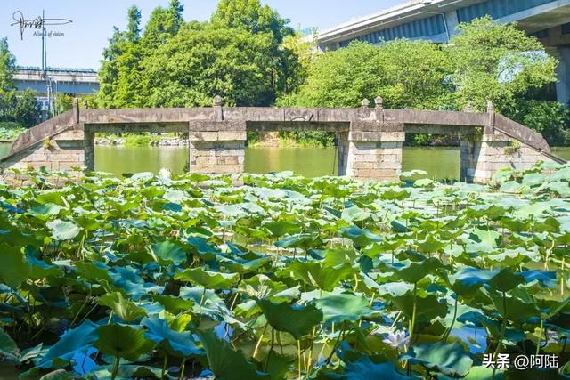 苏台高速下的“古桥遗存”让人惊艳，它是绍兴运河园最隐秘的去处
