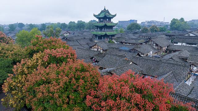 你最爱哪家？2025四川最受网民喜爱网红打卡地等你来投票