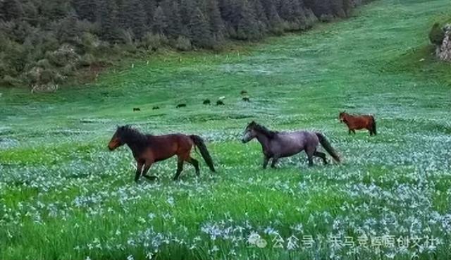 刘希奎：我的武威，我的城