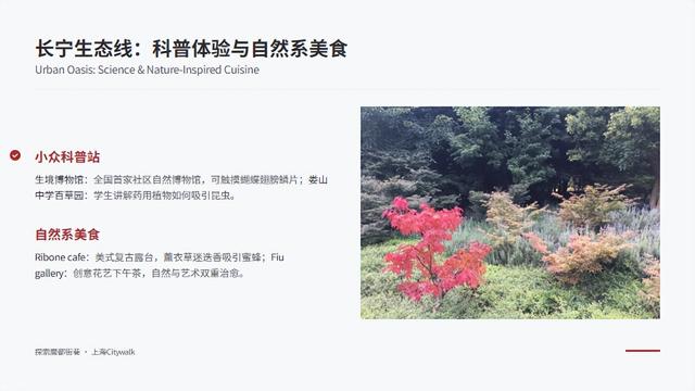 上海Citywalk终极指南：5条主题路线玩转魔都街巷
