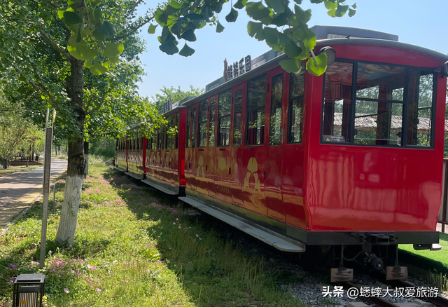 近有茶海，远有山水，这座浙江“文艺县城”，秋天即将爆火！