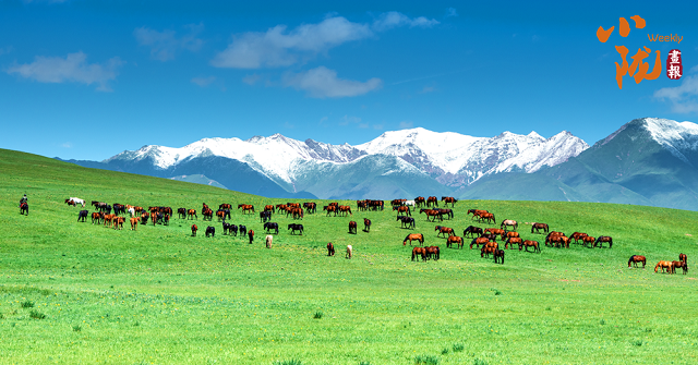 【联动宣传】秋色漫染祁连山 张掖如画等你来