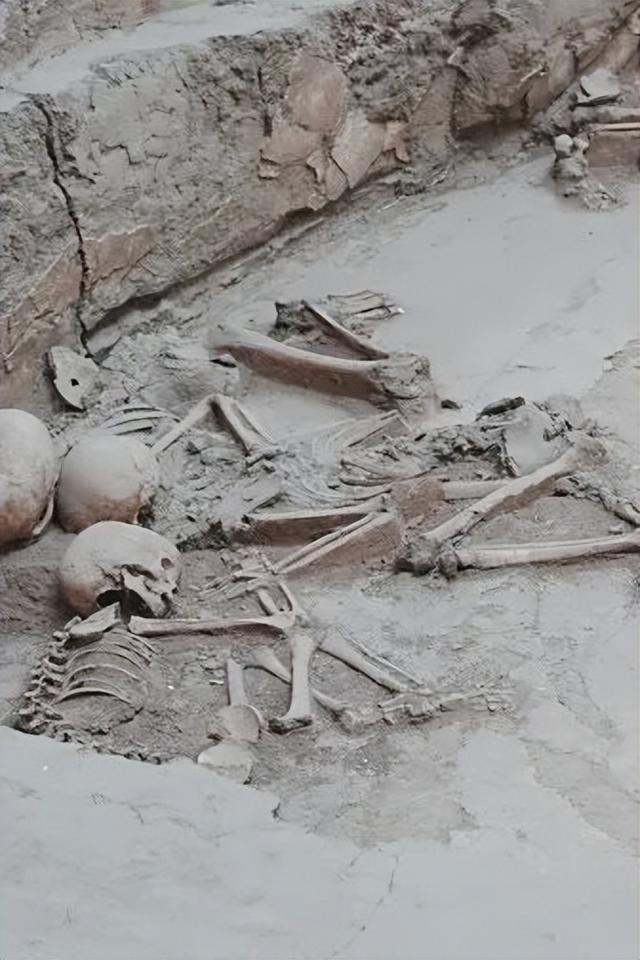 是谁吃了“世界上第一碗面”？青海海东还有多少秘密？