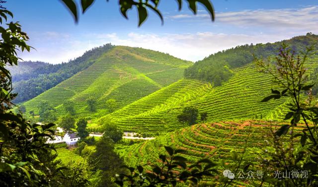 信阳十个醉美秋景等你打卡，来看光山哪些景区上榜