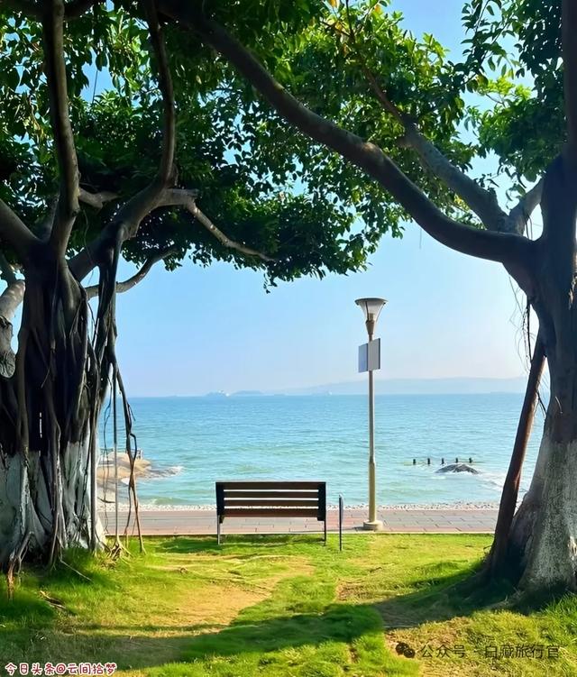 晴空万里的厦门环岛路:一半是蔚蓝浪漫,一半是水墨诗意