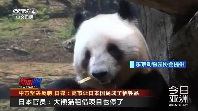 最后关头，高市政府通告中国，希望送回大熊猫，中方误判了日本？