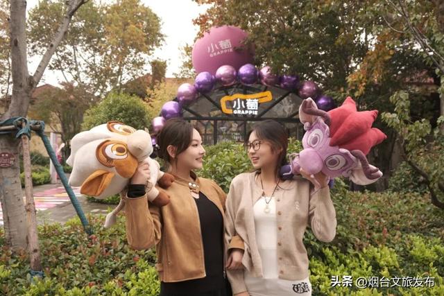 【乐游烟台】烟台这家景区太宠了！免费进、免费喝、免费玩