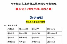 六年级语文上册第三单元核心考点梳理(重点句子+课文主题+积累)图片