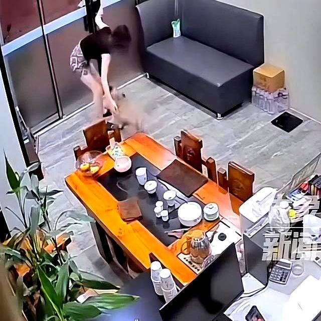 狗狗被送人后冒雨跑十几公里回家！狗主人：再也不会送人了！