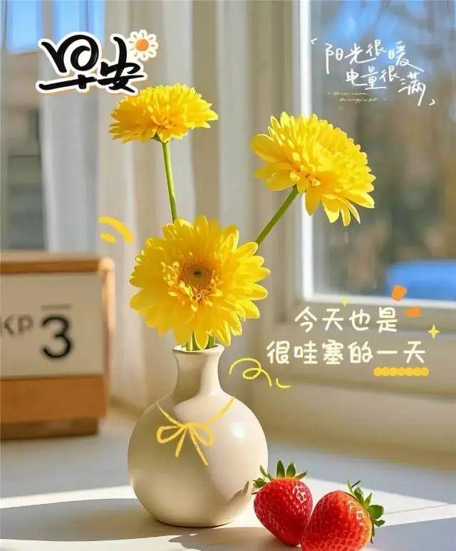 早安正能量简短励志句子，热爱生活，也会被生活治愈。早安！