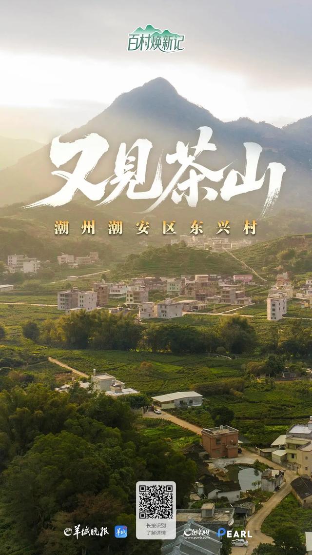 潮州潮安区东兴村：又见茶山 | 大美岭南·百村焕新记