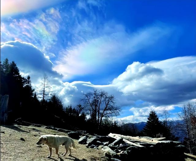 人生第一座雪山竟成终点？揭秘哈巴事故细节，别再被网红贴骗了