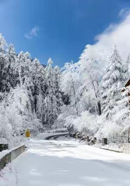 “冷不冷，看十月初一”，今日十月初一，今年冬天会十分寒冷吗？