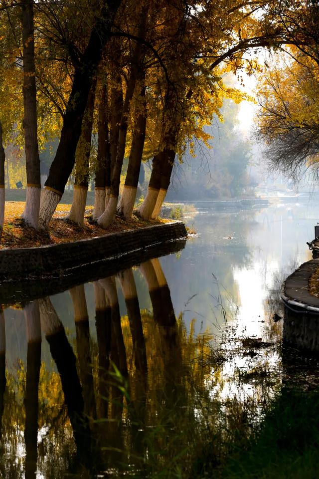 这些美照,最能说明五家渠的美景