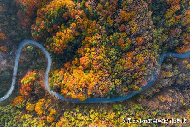 光雾山赏红叶实测攻略！中国红叶第一山，50 天赏期 + 3 大景区全吃透