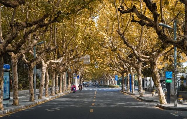 此时的太仓，美到心尖上！