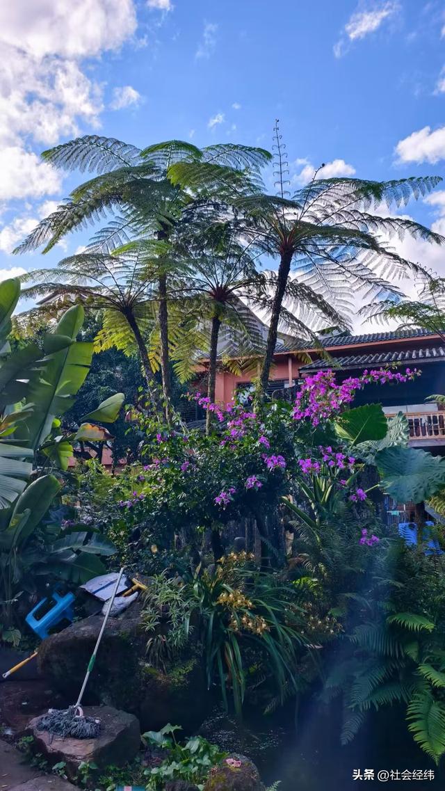 腾冲玉泉园：古景藏幽境，小桥流水似桃源