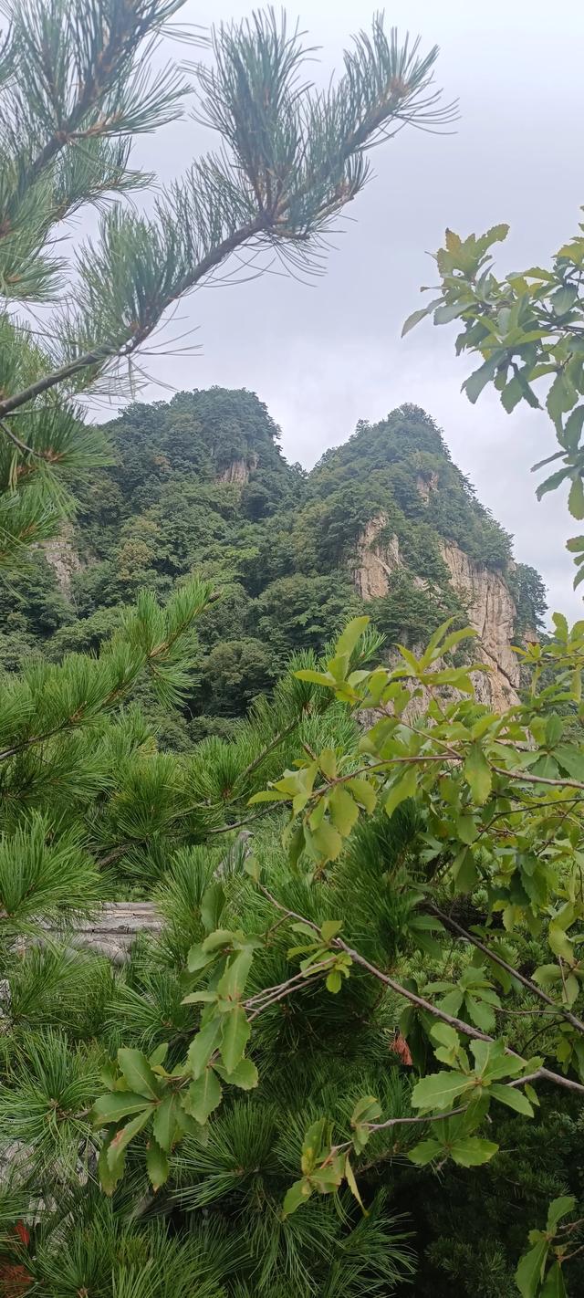 王顺山观景台风光