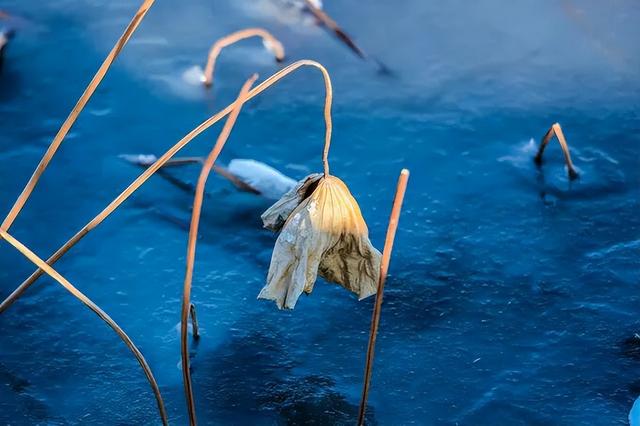 冬日微湖，慢养身心