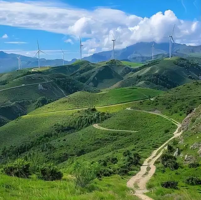 不挤5A挤深山！大青山“塞尔达”火了，徒步团乱象咋破局？