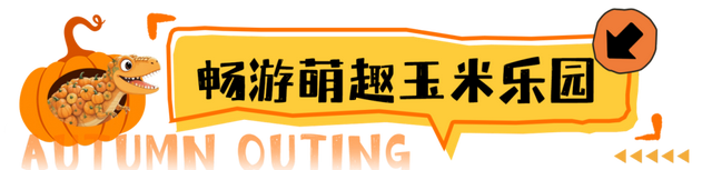 相约世界花卉大观园！丰台将迎巨型南瓜王国、全国菊花擂台赛！
