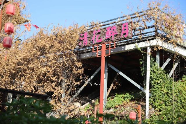 东莞有个宝藏地！下坝坊的24小时，从静谧古村到流光幻境