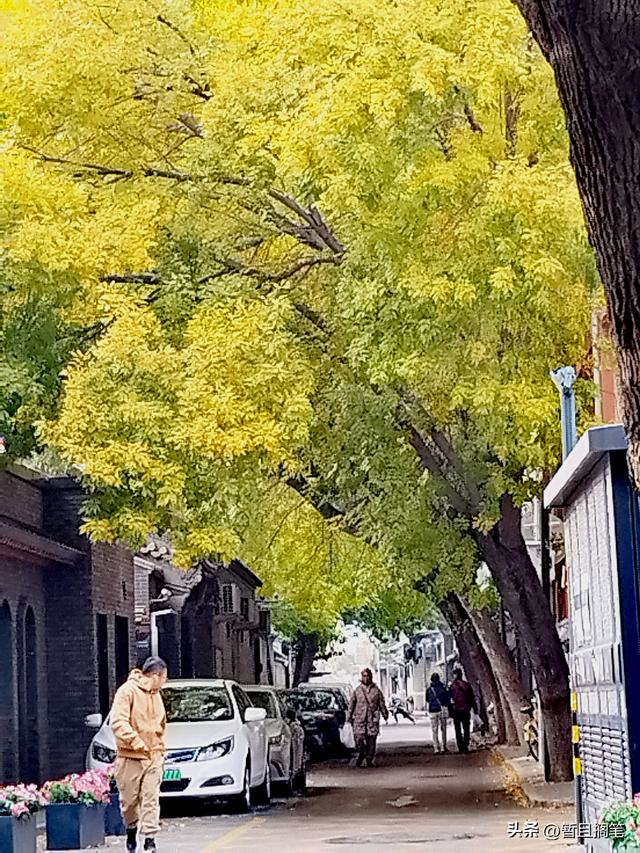 城市街巷记：北京，史家胡同与史家胡同博物馆