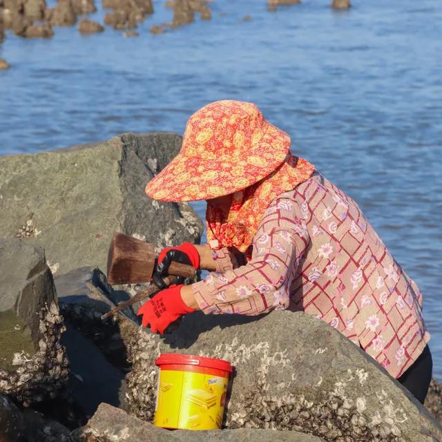 赶海、寻趣！来丰泽打卡这一抹海天蓝！