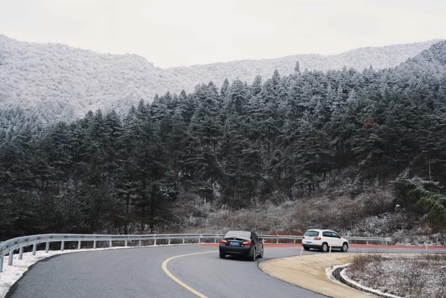 在临安,怎样才算“真土豪”?答案:买猪送房!