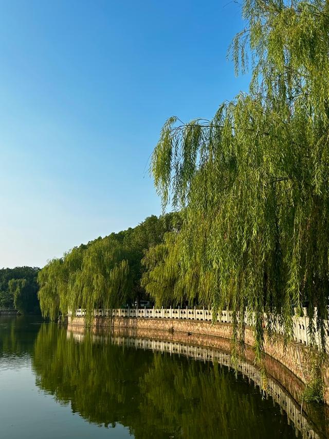 刚从相城回来，毫不客气的说，相城就是全国郊区化发展的天花板！