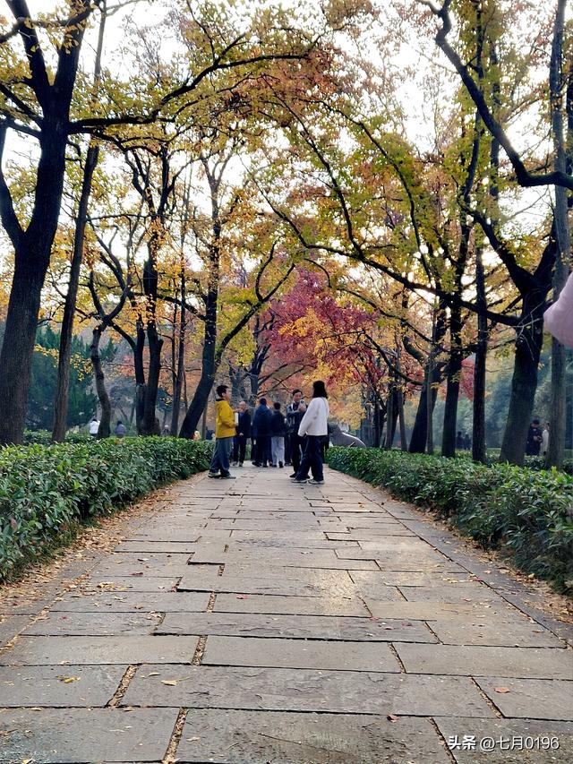 最美石象路，我来咯