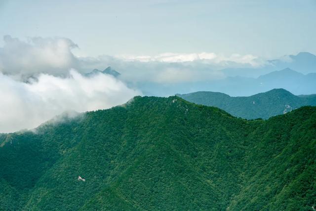 全国免票！高铁车票还打折，不要错过